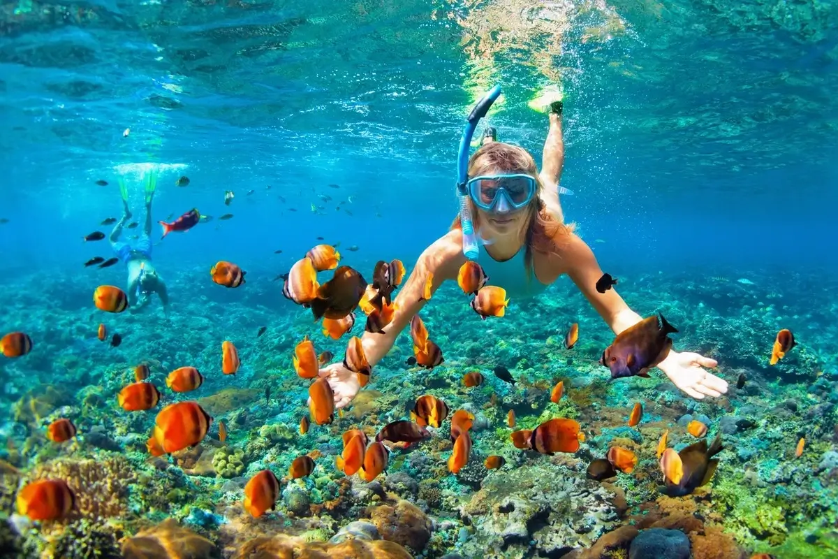 Snorkeling and Diving in Sanur Bali