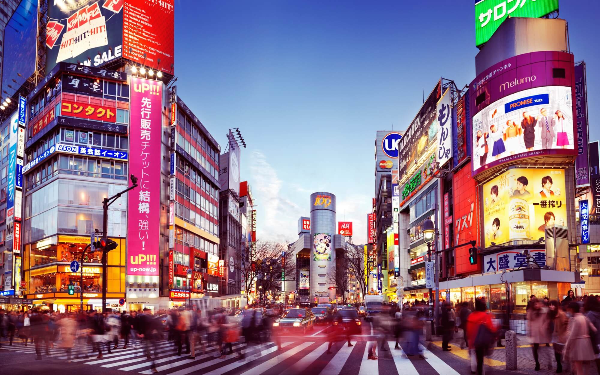 Explore Tokyo: A Comprehensive Travel Guide