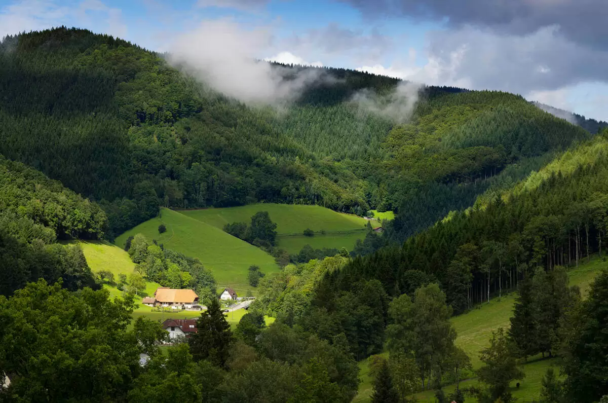 German Black Forest: A Hidden Gem in Germany