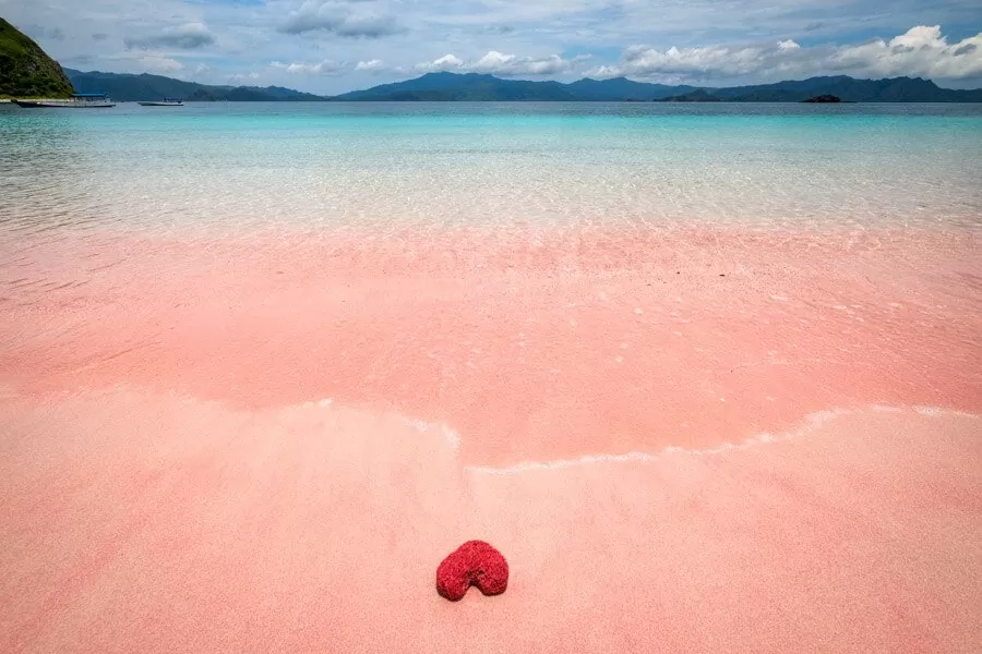 Pink Beach Natural Wonder Indonesia