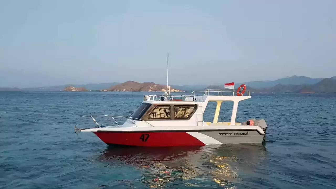 Speed Boat Tour of Komodo