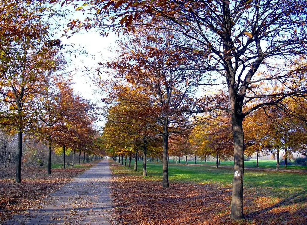 Parco Nord Milan