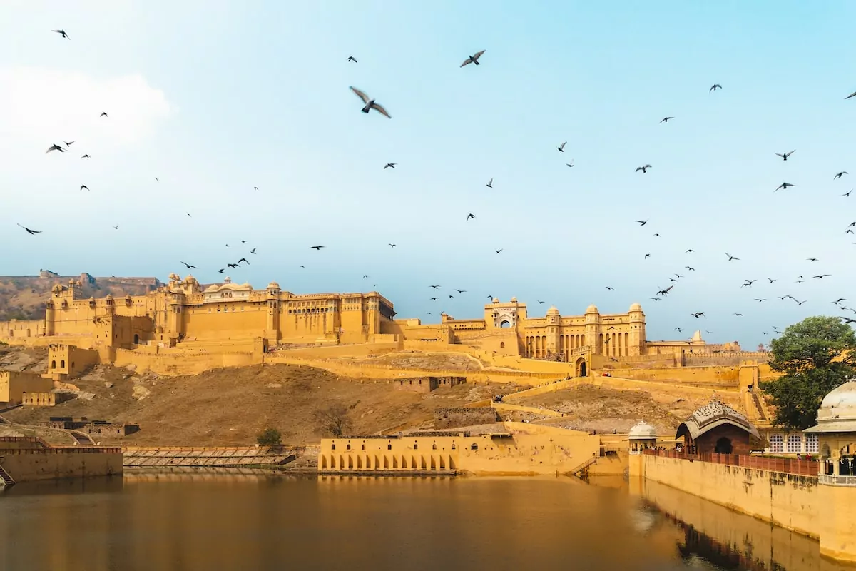 birds flying over river during daytime Jaipur Travel Guide