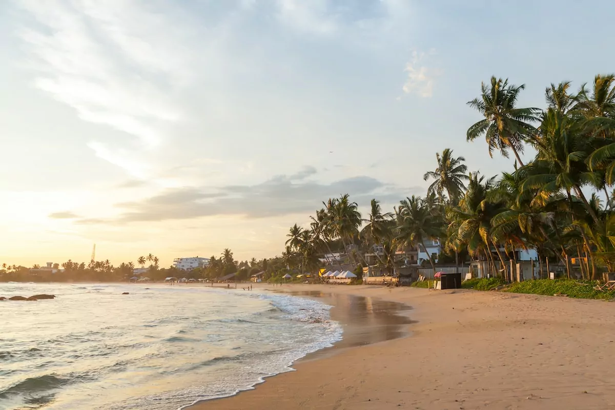 Exploring Colombo: A Comprehensive Destination Guide