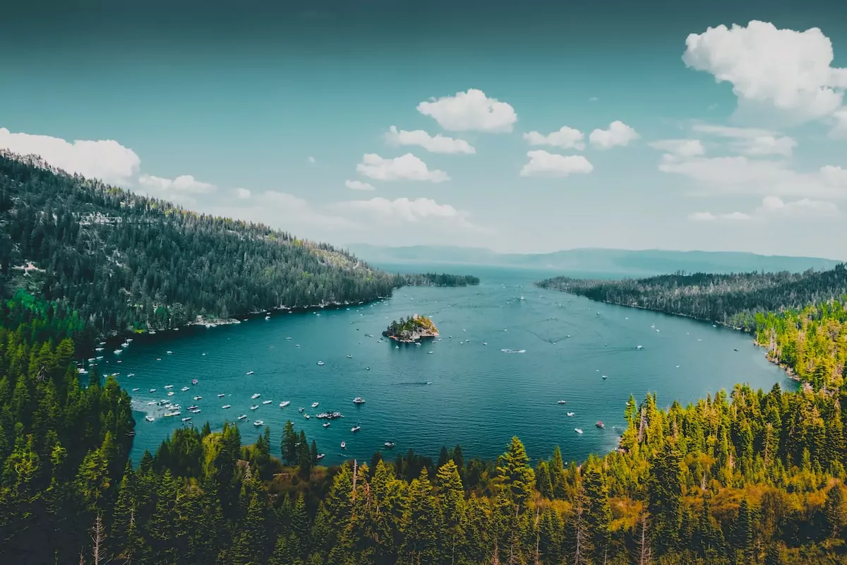 green-leafed trees - Lake Tahoe USA