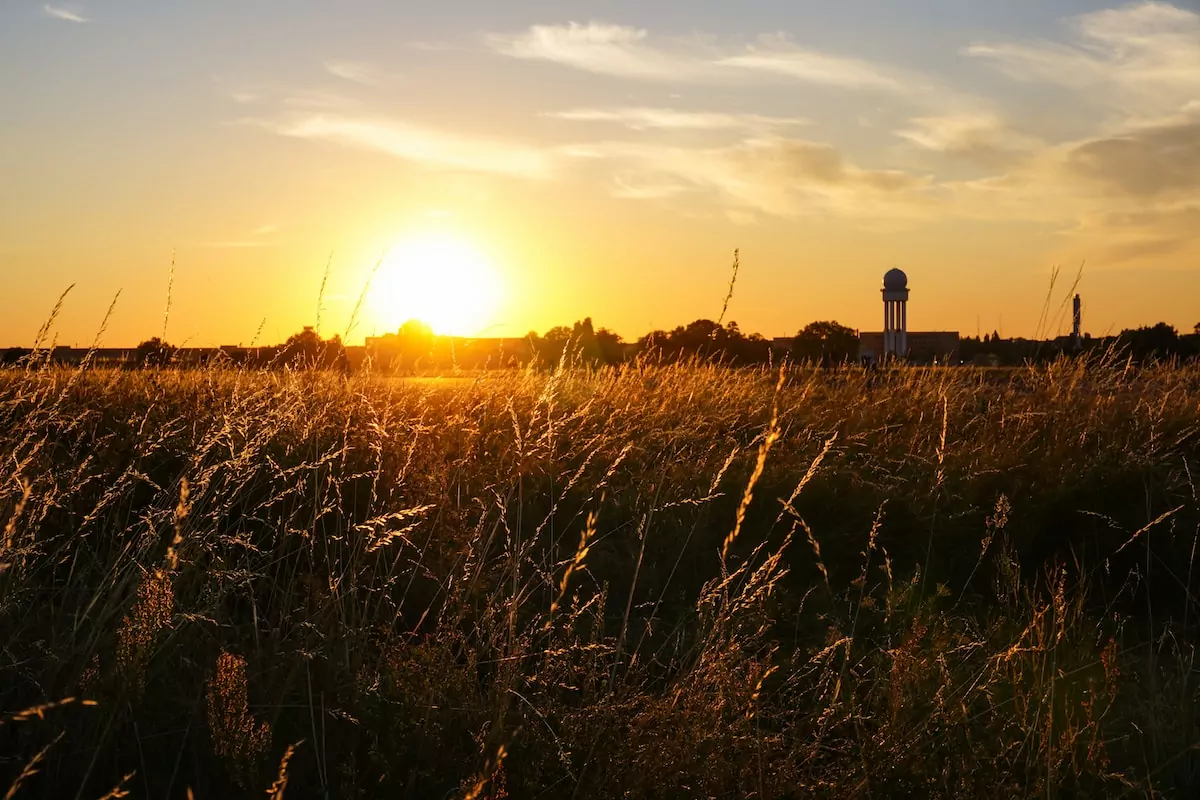 the sun is setting over a field of tall grass - Tempelhofer Feld Berlin Germany