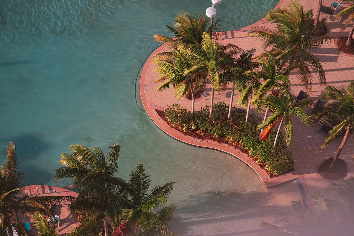 a beach with palm trees and a body of water - Miami USA