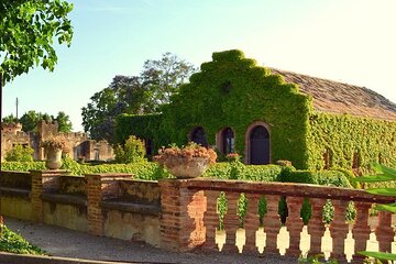 Wine cellars tour + Lunch in e-bike and private guide