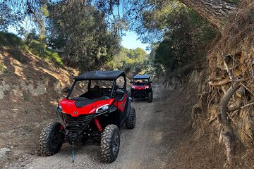 Buggy Safari In Salou, Catalonia 