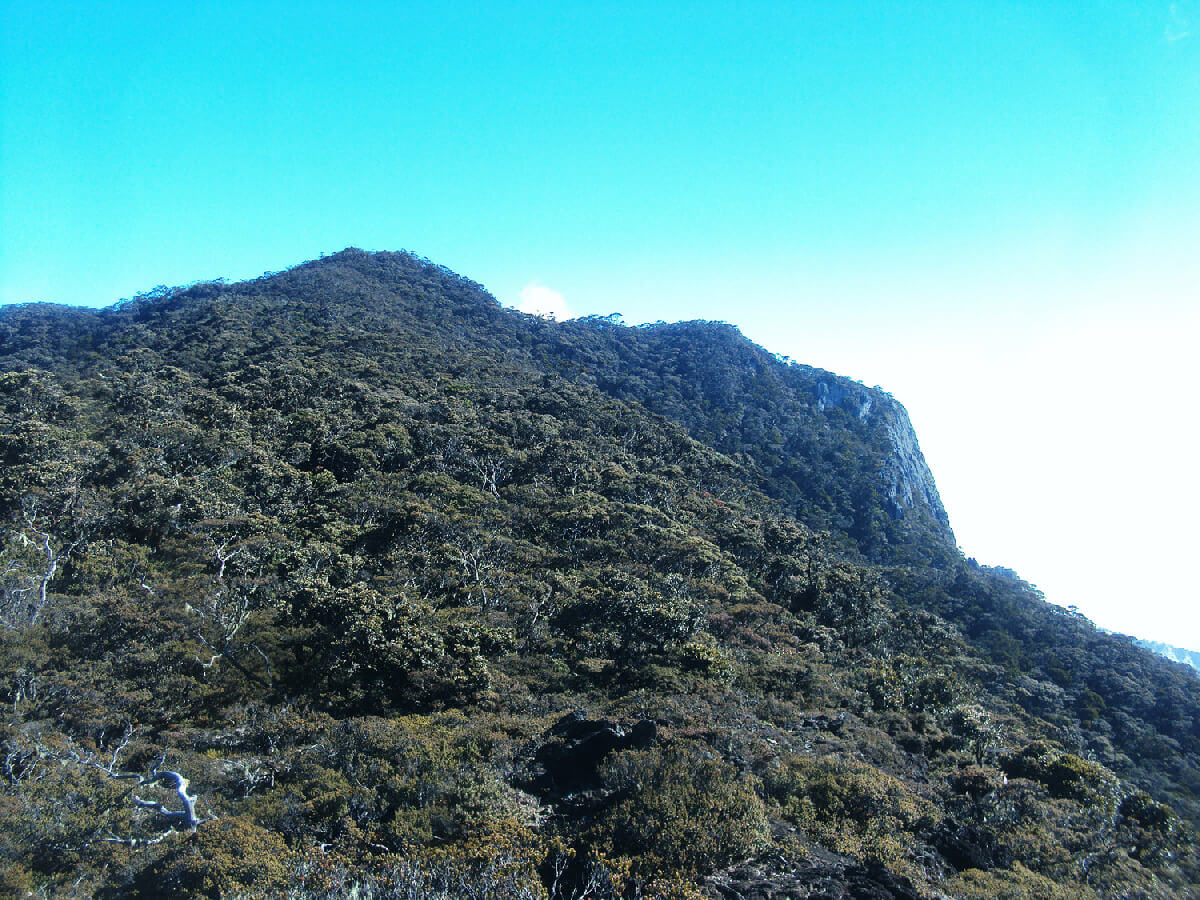 Gunung Tertinggi di Indonesia - Gunung Rantekambola
