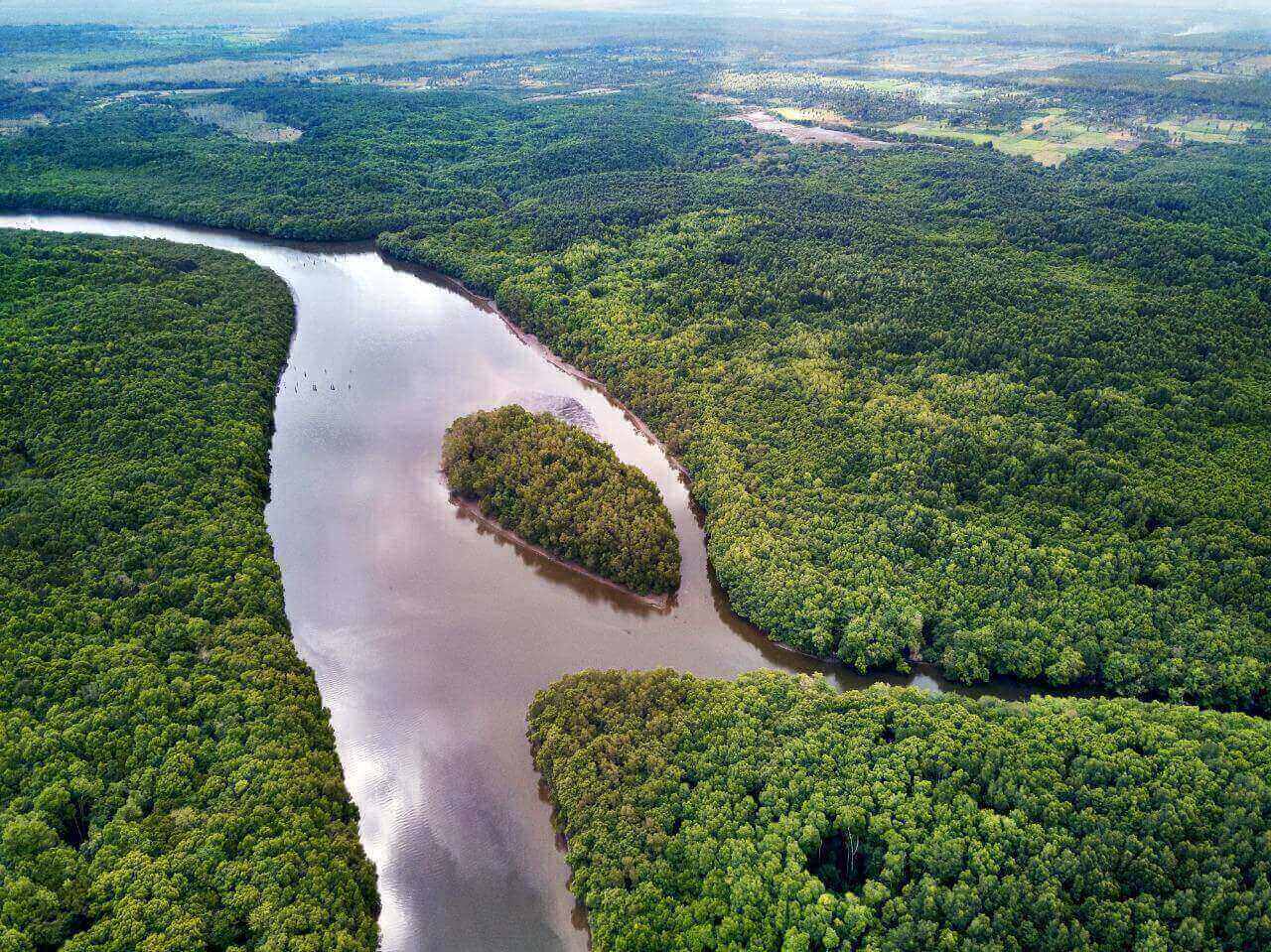 9 Lokasi Menarik di Taman Nasional Alas Purwo
