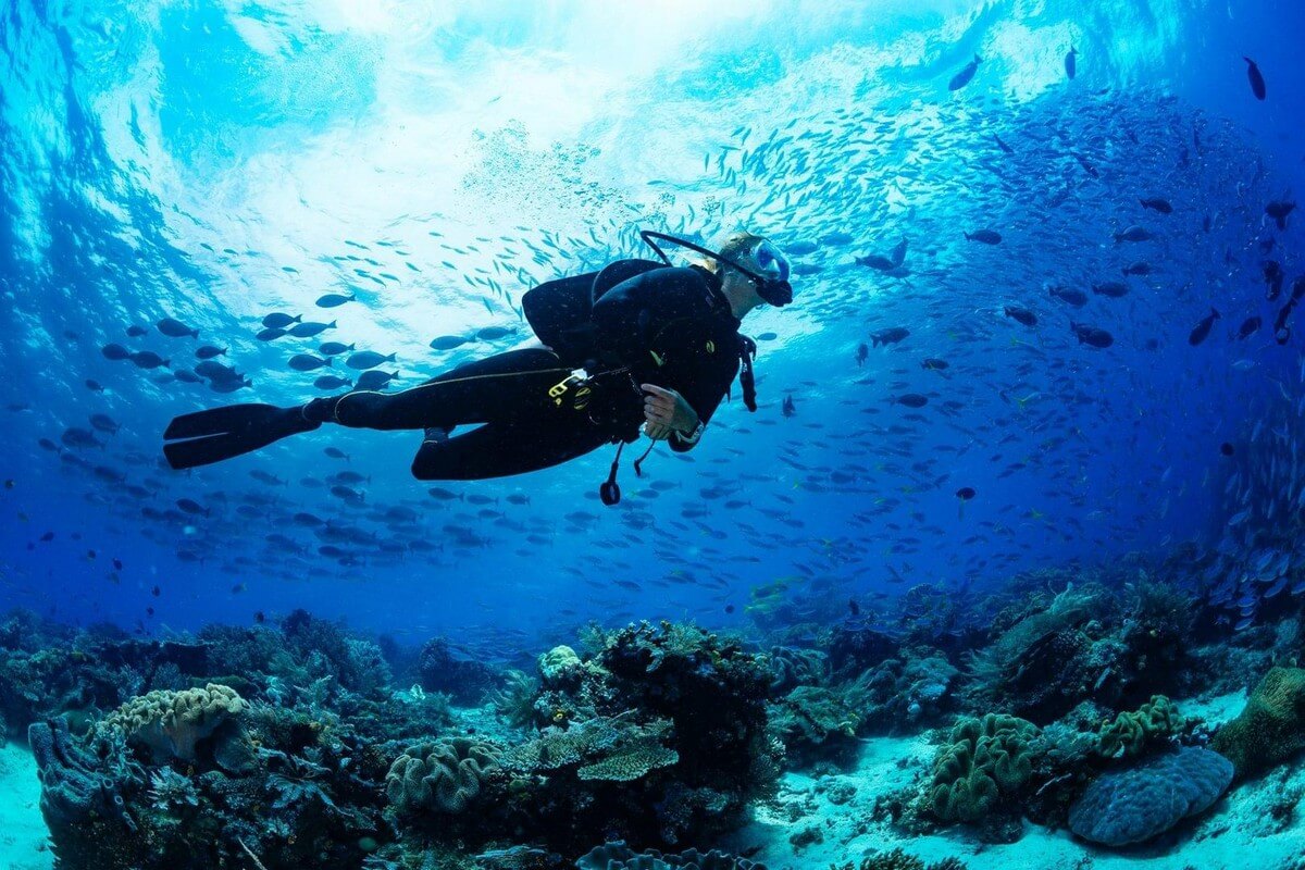 Scuba Diving, Pulau Seribu