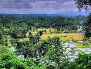 Tempat wisata di Padang Pariaman 