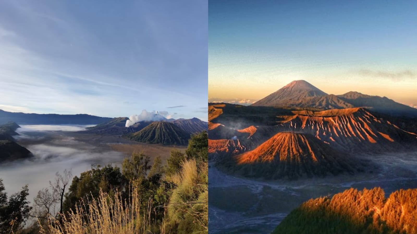 Puncak seruni point Bromo Probolinggo 