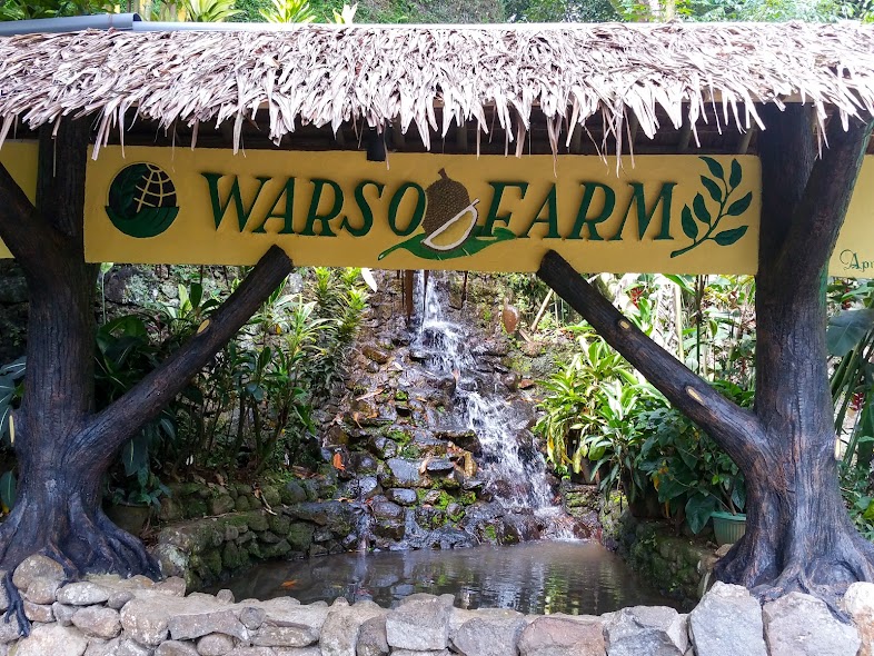 Wisata Kebun Durian Warso Farm di Bogor, Surganya Pecinta Durian!