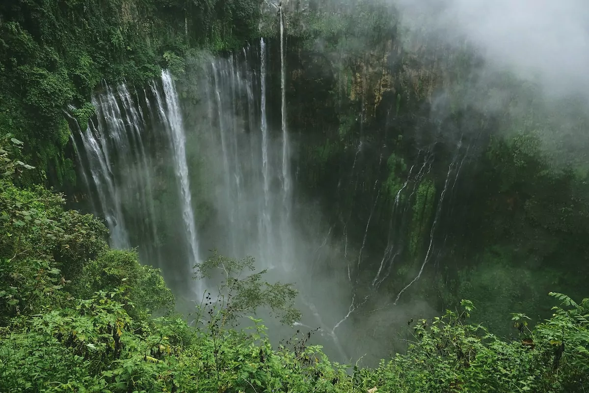 cascading waterfalls in green plant covered ravine - Tumpak Sewu, Lumajang, Indonesia