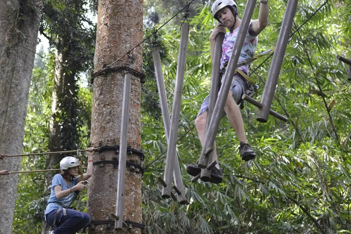 Baturraden Adventure Forest Purwokerto