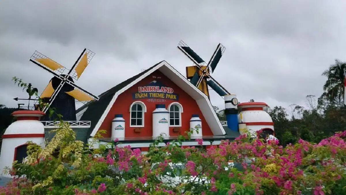 Dairyland Riverside Puncak Glamping Bogor