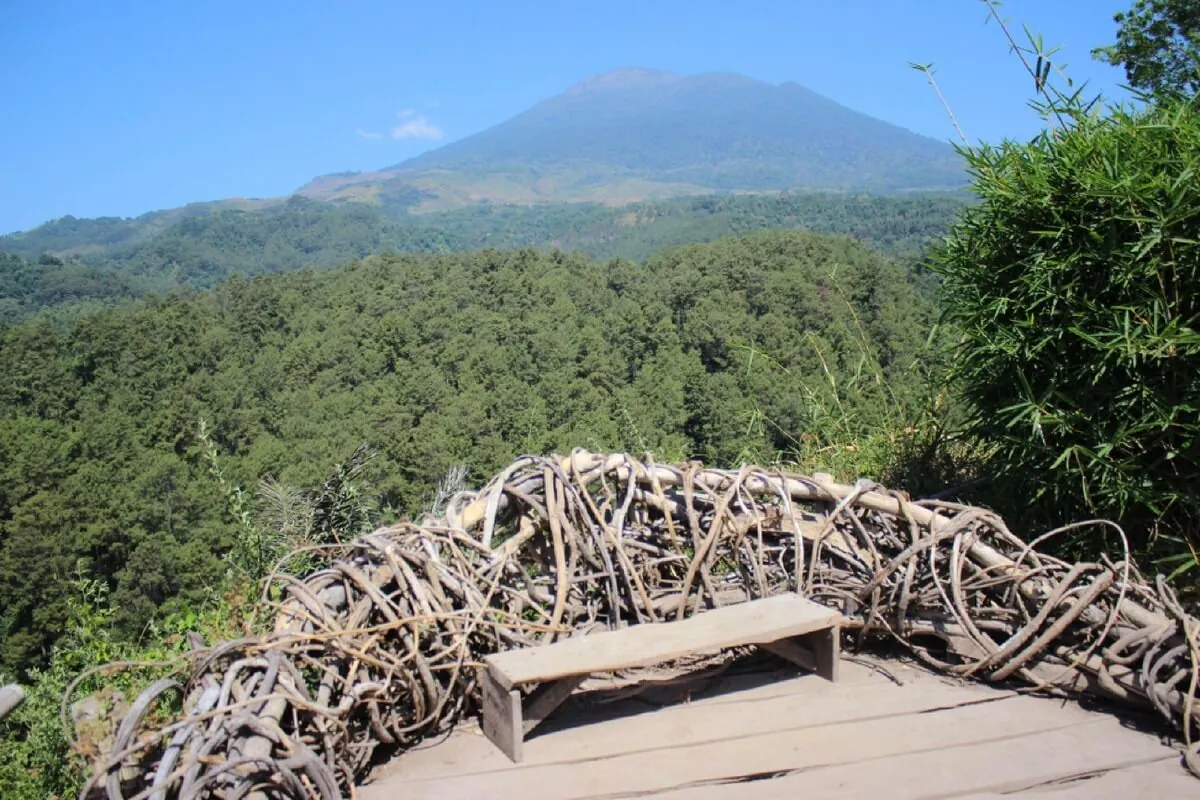 Wisata Gunung Ciwaru: Lokasi & Aktivitas Seru