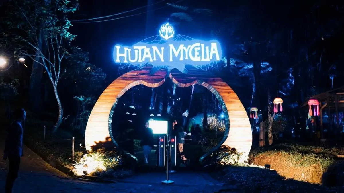 Hutan Mycelia Lembang: Lokasi, Harga Tiket, dan Tips Wisata