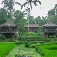 Tepi Sawah Lodge & Retreat